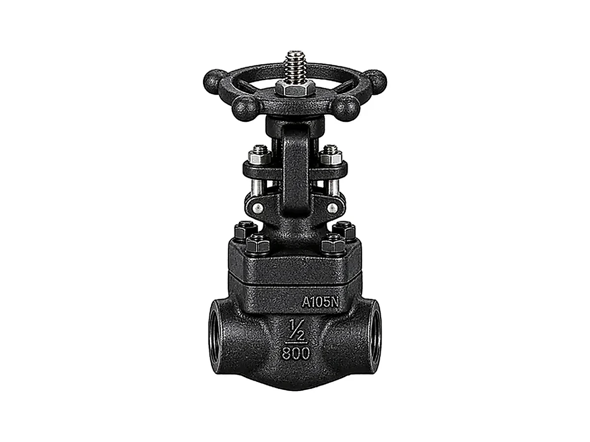 Válvula esclusa ASTM A105N Serie 800 NPT - producto industrial Briend