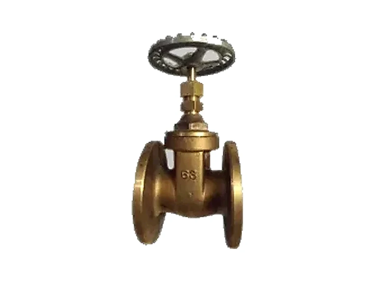 Válvula Esclusa Bronce Bridada APTA 200L - producto industrial Briend