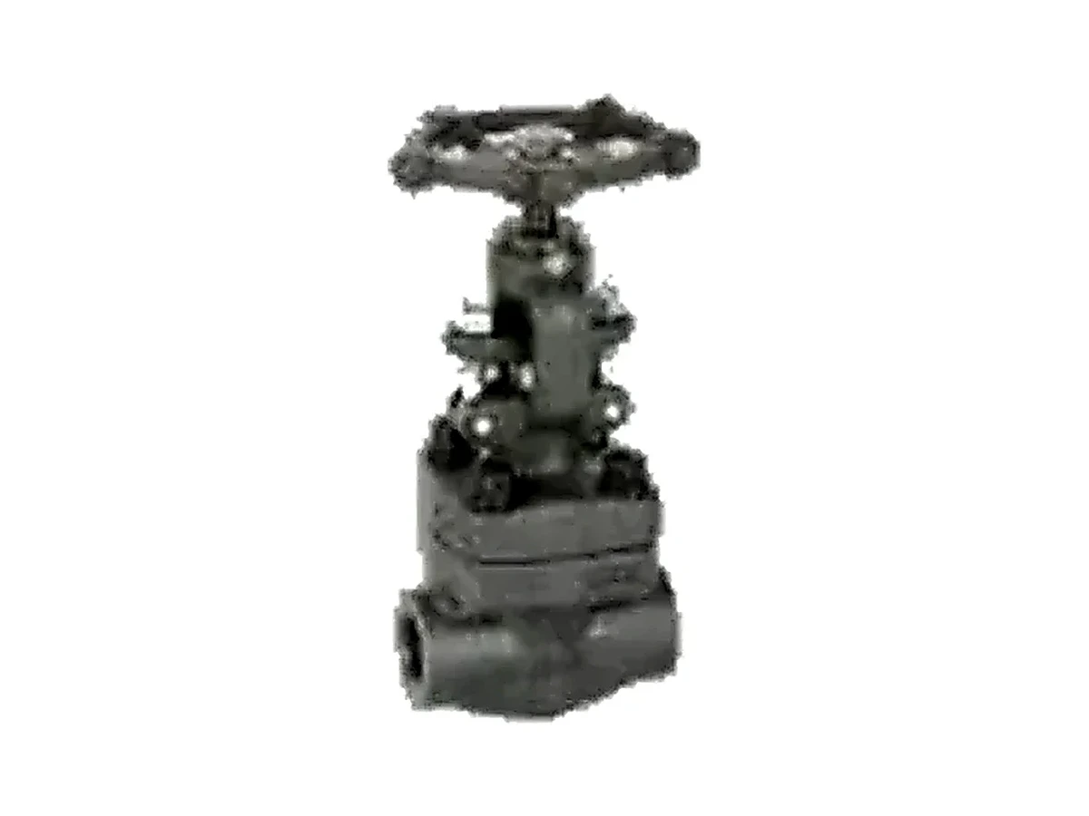 Válvula globo ASTM A105N Serie 800 NPT - producto industrial Briend