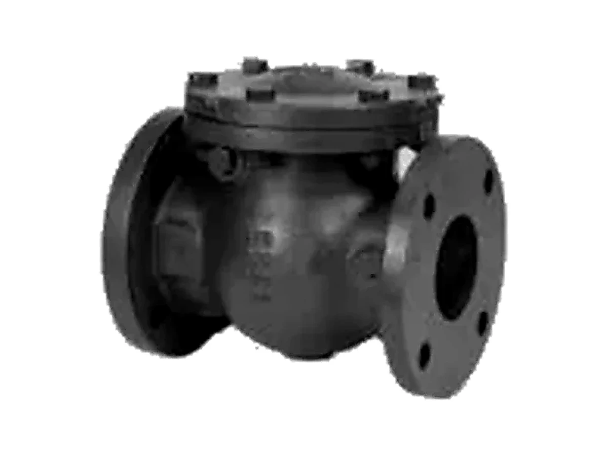 Válvula retención a clapeta Hierro - producto industrial Briend