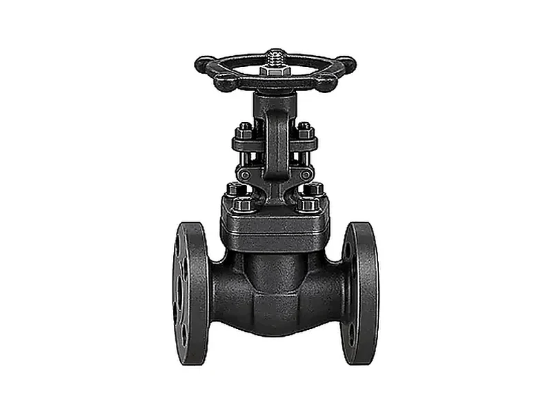 Válvula esclusa ASTM A105N Serie 800 Conexión Bridada