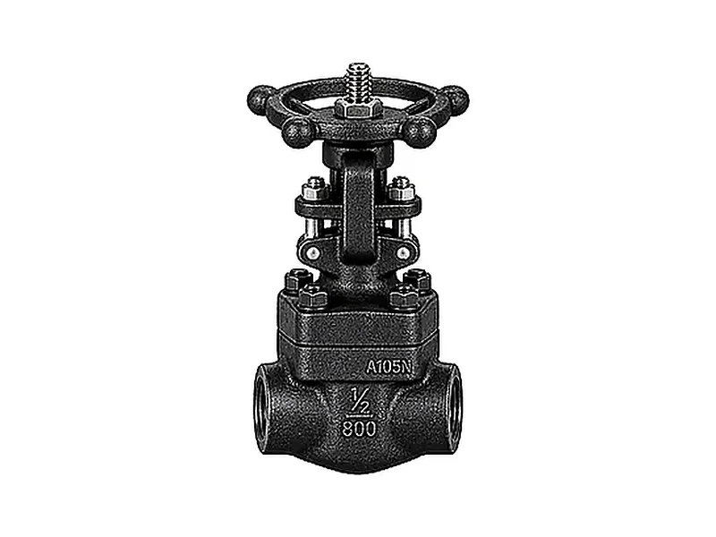 Válvula esclusa ASTM A105N Serie 800 SW